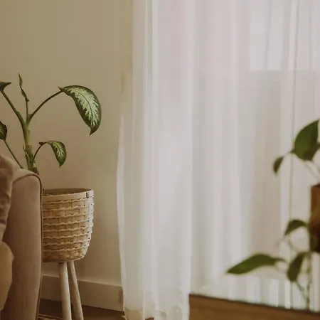 Apartment El Asueto Ubicado En El Corazon De La Ciudad Santa Cruz de la Palma (Isla de la Palma)